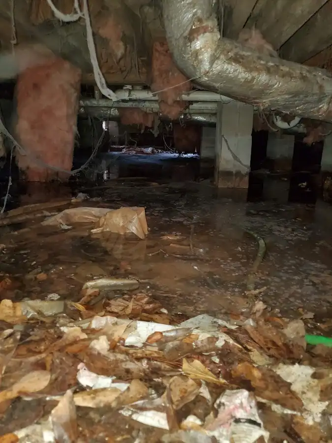 Crawl space flood assessment for Leak Detection & Repair in Gleneagle